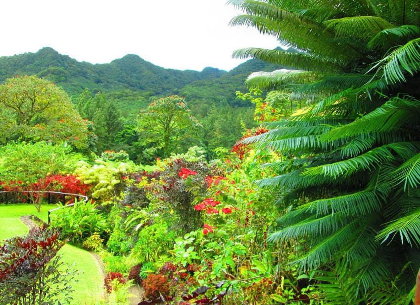 Montreal Gardens, Saint Vincent (Interior), St. Vincent & Grenadines